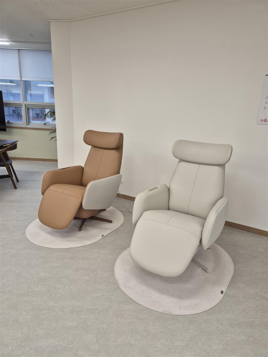 프리미엄 전동 안락의자